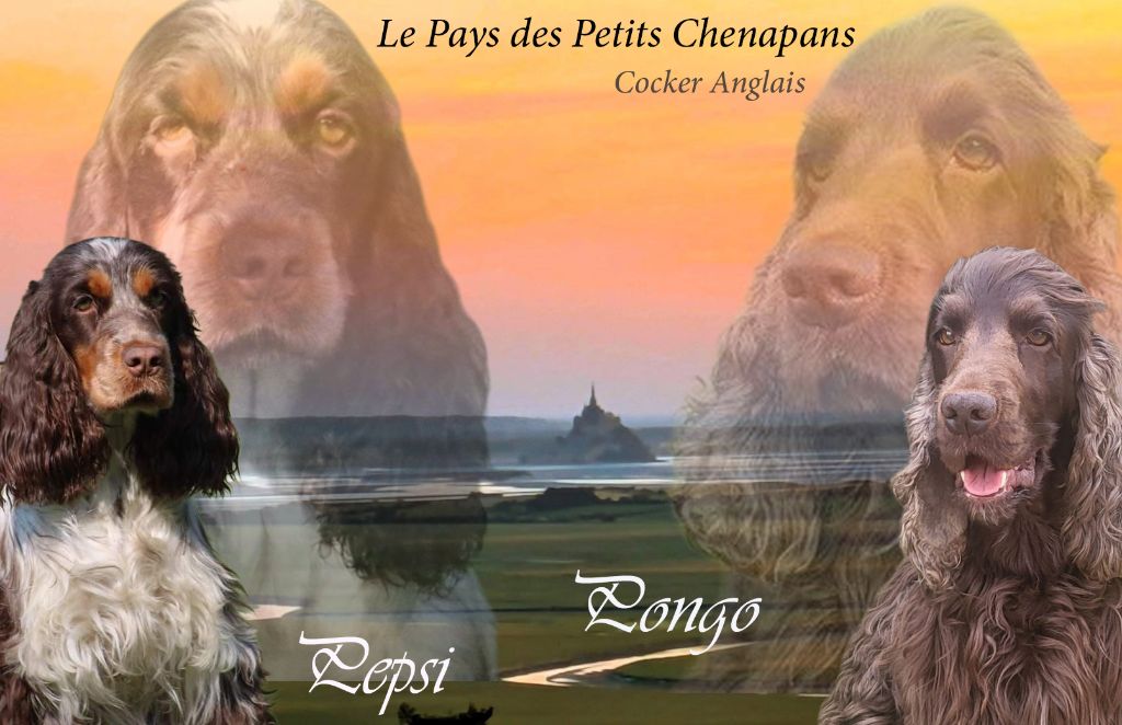Des Petits Chenapans sont attendus